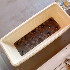 植木鉢セット.の画像