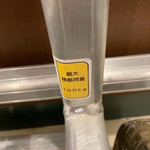 ミカサ　100Kgキャリー