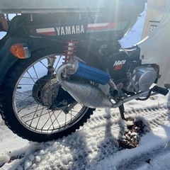 決まりました！
値下げしました！ 【物々交換可】ヤマハメイト/V50D/YAMAHA mate/原付二種登録【山梨県、引取り限定】早い者勝ち！の画像
