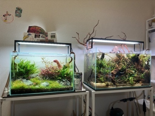 アクアリウムフルセット