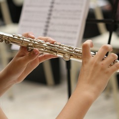 １レッスン６０分＜月１回からレッスンOK＞美しい音色を重視するマ...