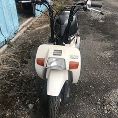 ホンダスカッシュの中古が安い！激安で譲ります・無料であげます｜ジモティー