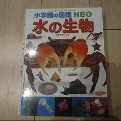水の生物図鑑