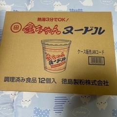 金ちゃんヌードル 12個入り