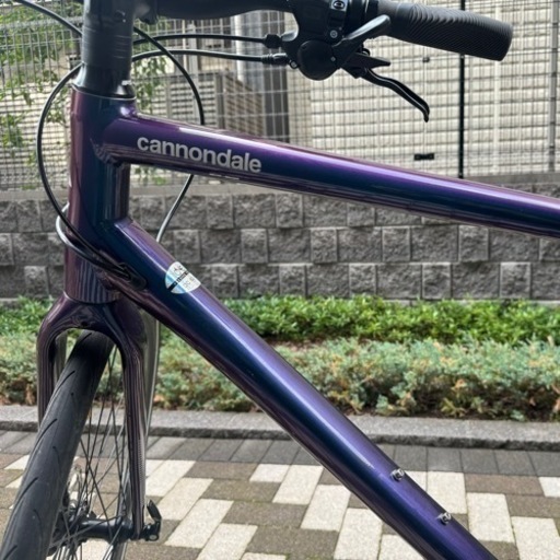 CANNONDALE QUICK3 /カメレオン Lサイズ