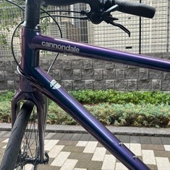 CANNONDALE QUICK3 /カメレオン Lサイズ CANNONDALE QUICK3 /カメレオン Lサイズ