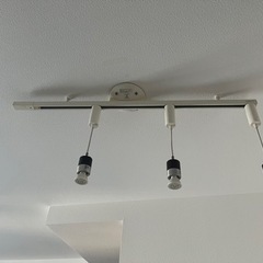 ダウンライト 電球付き💡の画像