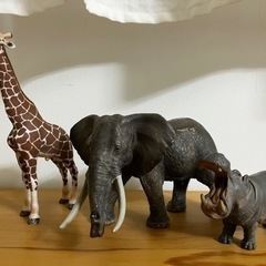 シュライヒ　動物フィギュア　象ゾウ　キリン　カバ