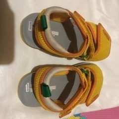 女性限定【ミキハウスサンダル１９センチ】の画像