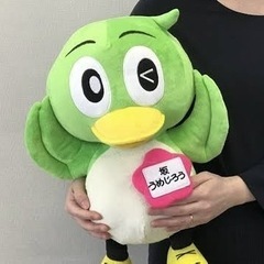 卓球経験3年〜　🔰の配偶者、お子さん参加可 - 安芸郡