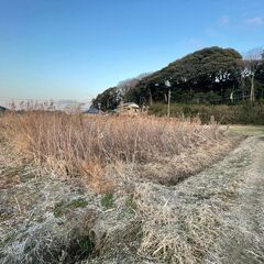 【１案件４万円 】草刈りをお願いします（草刈り機持込で）の画像