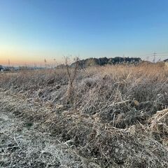 【１案件４万円 】草刈りをお願いします（草刈り機持込で）の画像