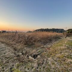 【１案件４万円 】草刈りをお願いします（草刈り機持込で）の画像