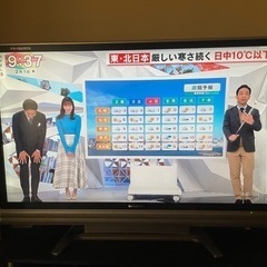 家電 テレビ 液晶テレビ50インチ