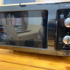 アイリスオオヤマ　電子レンジの画像