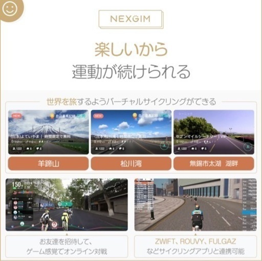 フィットネスバイク  NEXGIM X05