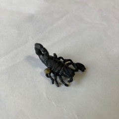 シュライヒ ワイルドライフ  サバンナ水飲み場の画像