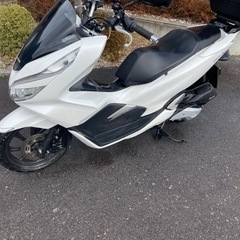 PCX125cc JF81  