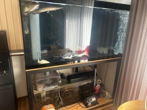 オーバーフロー水槽　アクリル　横150.高さ80.奥70