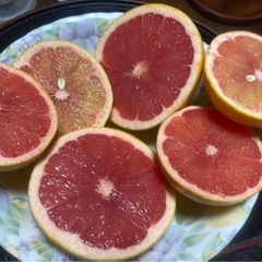 国産！！　ルビーグレープフルーツ　オーガニック栽培　約3.2kg...