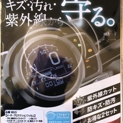 エリミネーター　メータープロテクションフィルム