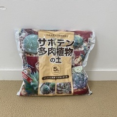 サボテンの砂