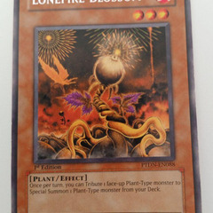 遊戯王　ptdn-en088　 英語版
