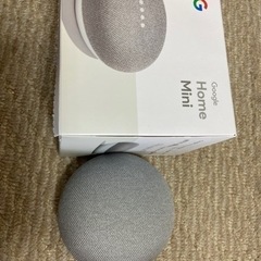 Google Home mini  ‼️