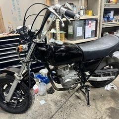 エイプ50 即乗り