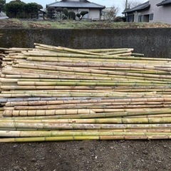 竹