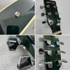 HONNEY BEE アコースティックギター F-15M BLS ハニービー　グリーン　緑の画像