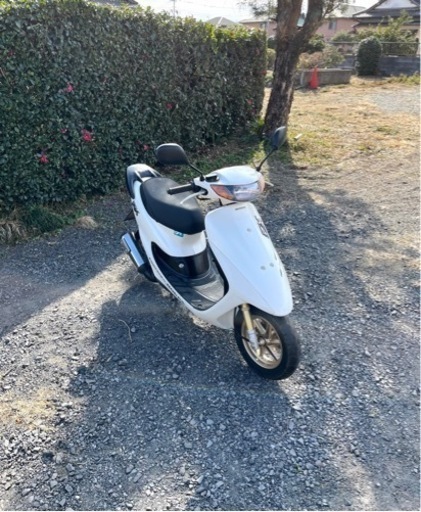 724. 動画あり　正規　ライブディオZX  原付　バイク　50cc   車体　埼玉