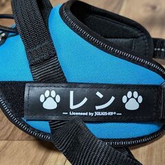ドッグハーネス/ユリウスк9プレート2枚（新品）の画像