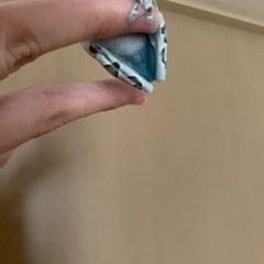 ミルキーフロッグ　飼育セットの画像