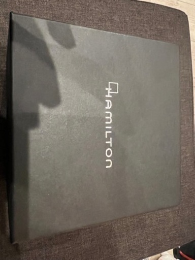 ハミルトンパイロットメカニカル（土曜まで）