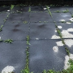 【決まりました】スーパータイト　27枚