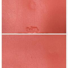 【新品未使用】COACH/コーチ
　フラットポーチ　オレンジの画像