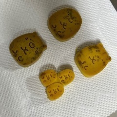 ニホンミツバチの蜜蝋の画像