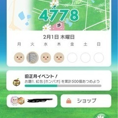 ピクミンブルーム　郡山