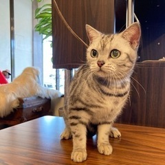 里親さんが決まりました！⭐️