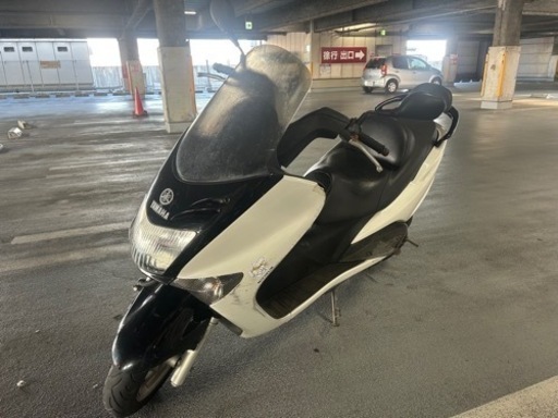 マジェスティ125。自賠責R7年1月。