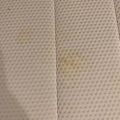 電動フランスベッドの画像