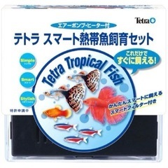 受け渡し予定者決定　テトラ (Tetra) スマート熱帯魚　半年使用