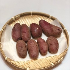 ノーザンルビー種芋　無農薬の画像