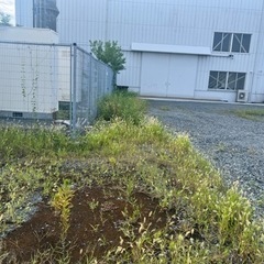 草刈り、伐採、剪定、除草剤散布 太陽光管理、草の管理 - 剪定/造園