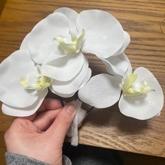 胡蝶蘭、水引、和玉 / 和装花嫁　ヘアアクセサリーの画像