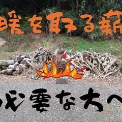 薪.丸太必要な方へあげます。
