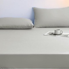 値下げ可能 シングルベッド マットレスの画像