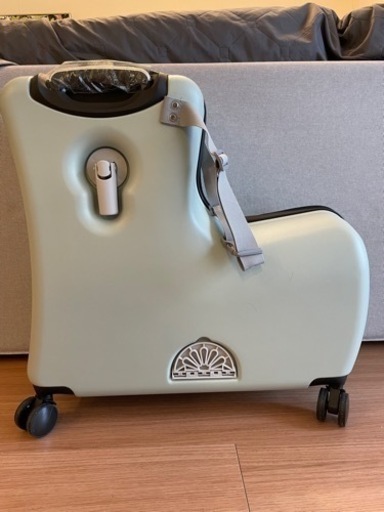 子供が乗れるキャリーバッグ