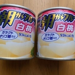 【最終お値下げ】【今週2缶300円】【購入価格1缶237円】『朝...